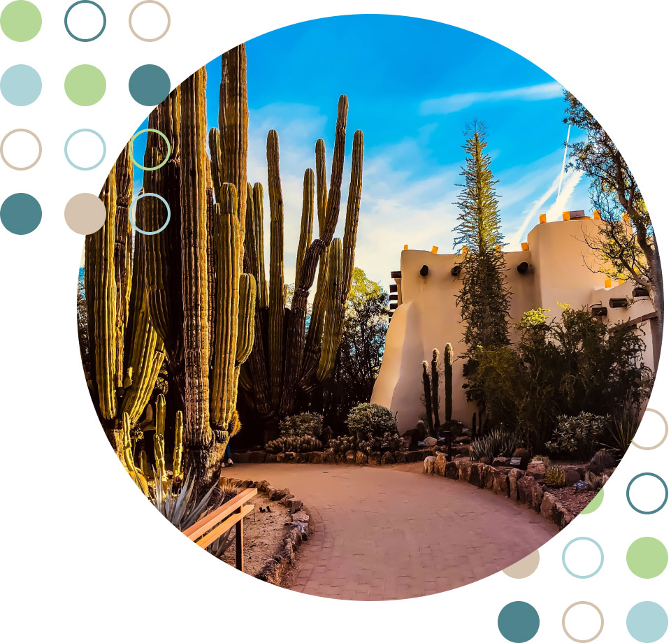 desert-garden desert garden